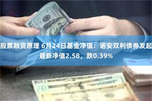 股票融资原理 6月24日基金净值：诺安双利债券发起最新净值2.58，跌0.39%