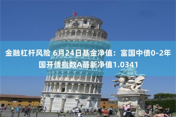 金融杠杆风险 6月24日基金净值：富国中债0-2年国开债指数A最新净值1.0341