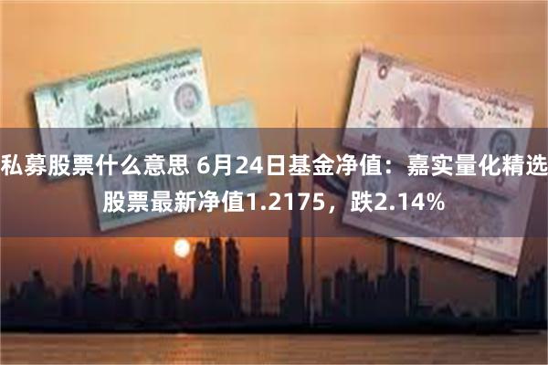 私募股票什么意思 6月24日基金净值：嘉实量化精选股票最新净值1.2175，跌2.14%