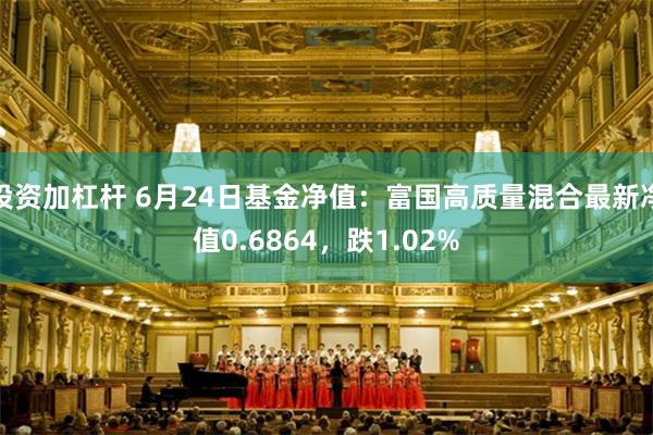 投资加杠杆 6月24日基金净值：富国高质量混合最新净值0.6864，跌1.02%