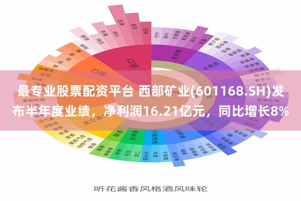 最专业股票配资平台 西部矿业(601168.SH)发布半年度业绩，净利润16.21亿元，同比增长8%